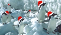 Antartica