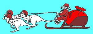 Father Christmas driving his white kangaroos.