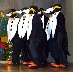 Happy penguins