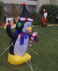 Plastic penguins