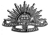 AIF badge