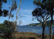 Cygnet Bay