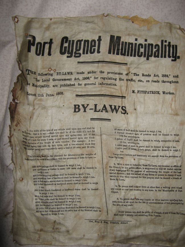 cygnet-poster