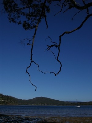 Randalls Bay Tasmania