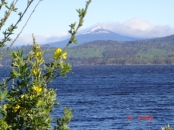 The Hartz Mountainns from Verona Sands