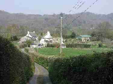 Wolleigh
