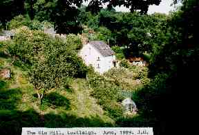 Old Mill
